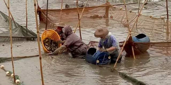 水产养殖水质检测项目及标准